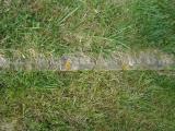 image of grave number 312769